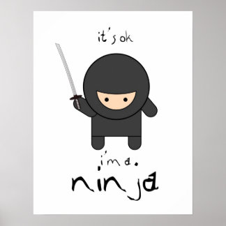 Ik ben een ninja. poster