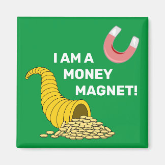 Ik ben een wet op de aantrekkingskracht van het ge magneet