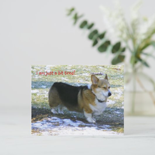 IK BEN ENKEL EEN VERMOEID BEETJE! , FEESTDAGENKAART (Staand voorkant)