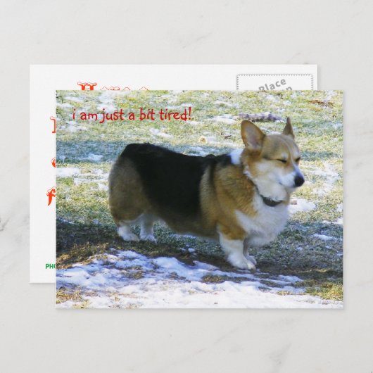 IK BEN ENKEL EEN VERMOEID BEETJE! , FEESTDAGENKAART (Voorkant / Achterkant)