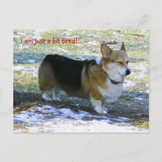 IK BEN ENKEL EEN VERMOEID BEETJE! , FEESTDAGENKAART (Voorkant)