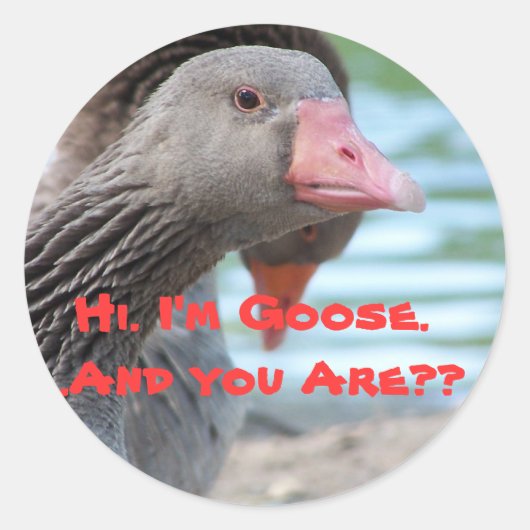 Ik ben gans sticker (Voorkant)