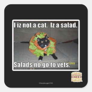 Ik ben geen kat. Iz een salade. Vierkante Sticker