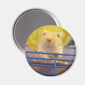 Ik ben geen muis magneet (Voorkant / Achterkant)