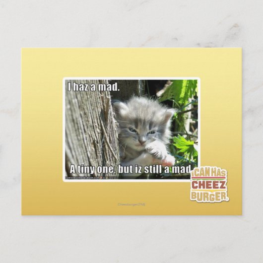 Ik ben gek briefkaart (Voorkant)