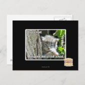 Ik ben gek briefkaart (Voorkant / Achterkant)