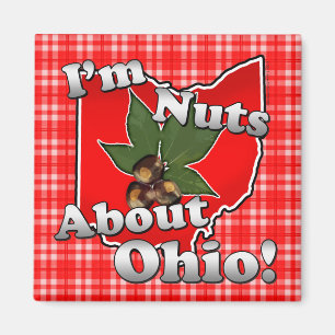 Ik ben gek op Ohio, Funny Red Buckeye Nut Magneet