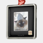 Ik ben gekomen om ons dorp te plunderen metalen ornament (Links)