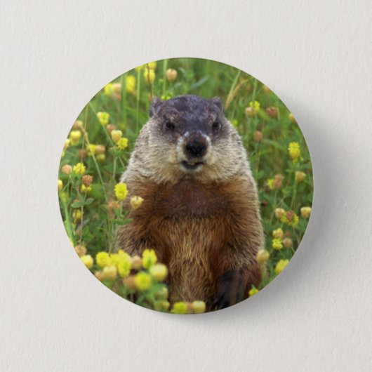 Ik ben Groundhog Button (Voorkant)