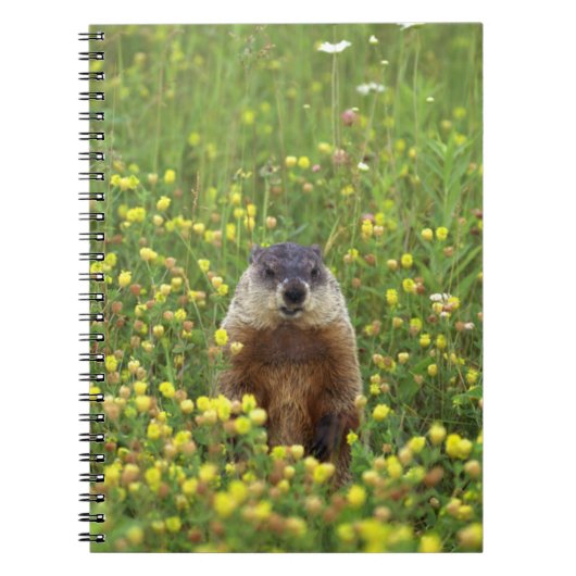 Ik ben Groundhog Notitieboek (Voorkant)