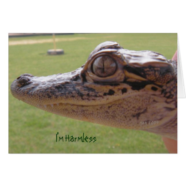 Ik ben Harmless (Voorkant Horizontaal)