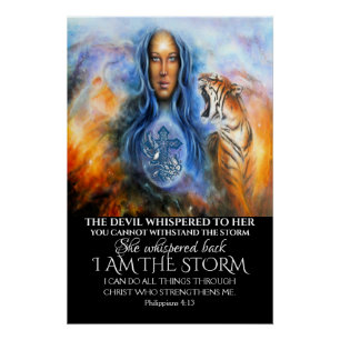 IK BEN HET STORM PERFECT POSTER