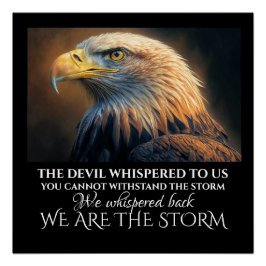 IK BEN HET STORM POSTER PERFECT POSTER