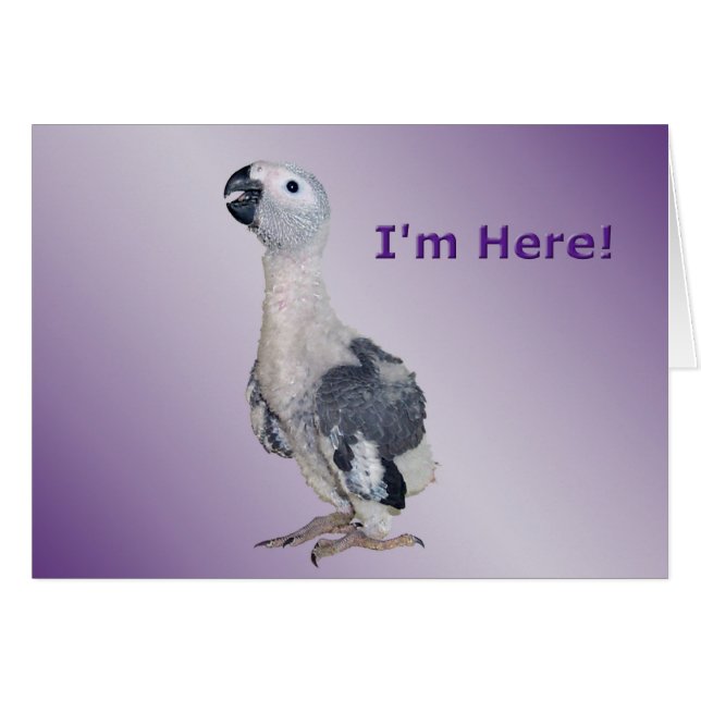 Ik ben hier (Voorkant Horizontaal)