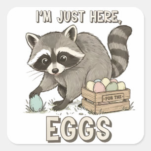 Ik ben hier alleen voor de eieren Grappige wasbeer Vierkante Sticker