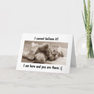 IK BEN HIER/JIJ BENT DAT IK "JULLIE" MIST KAART