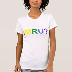Ik ben jullie IMRU Rainbow Pride T-shirt