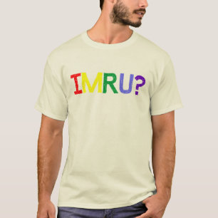 Ik ben jullie IMRU Rainbow Pride T-shirt