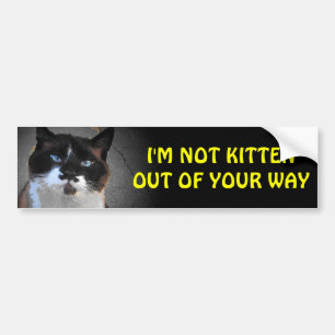 Ik ben Kitten niet uit de weg Bumpersticker