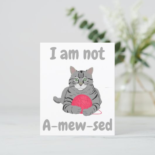 Ik ben niet geamegeerd. Funny cat chonk t-shirt (Staand voorkant)