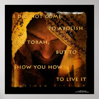 Ik ben niet gekomen tot afschaffing poster