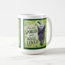 Ik ben niet verwend, gewoon goed geliefd kat