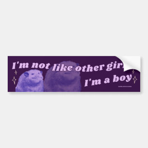 Ik ben niet zoals andere meisjes... ik ben een jon bumpersticker