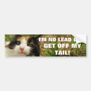 Ik ben No Lead Dog Cat Meme Bumpersticker