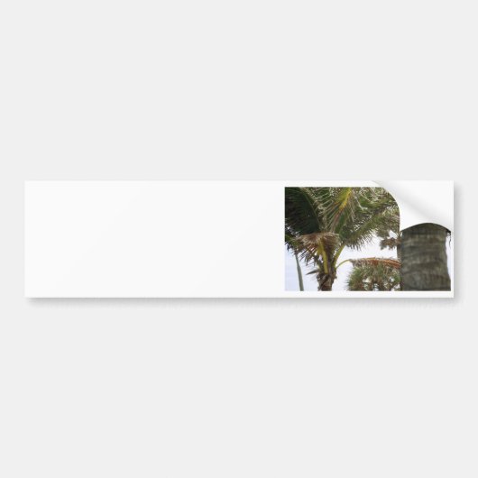Ik ben op Island Time. Bumpersticker (Voorkant)
