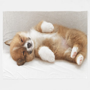 IK BEN OPGESTELD FLEECE DEKEN