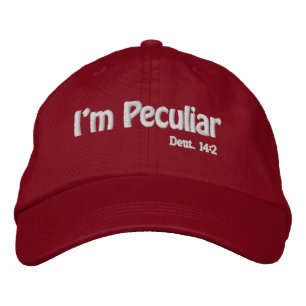 Ik ben Peculiar Customize It Geborduurde Pet