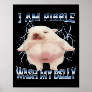 Ik Ben Pibble Was Mijn Buik Grappige Hond Maak Mij Poster