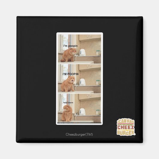 Ik ben poopin. magneet (Voorkant)