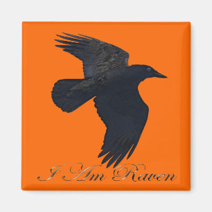 IK BEN RAVEN Flying Crow Art Magnet Magneet