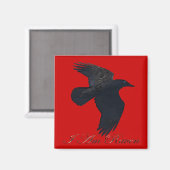 IK BEN RAVEN Flying Crow Art Magnet Magneet (Voorkant / Achterkant)
