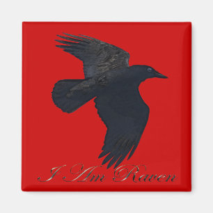 IK BEN RAVEN Flying Crow Art Magnet Magneet