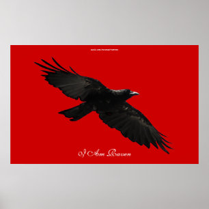 IK BEN RAVEN III Vliegend Black Raven Art Poster