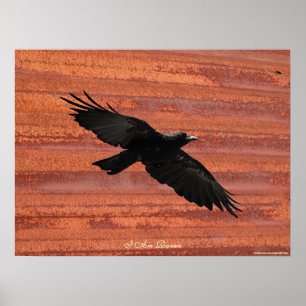 IK BEN RAVEN III Vliegend Black Raven Art Poster
