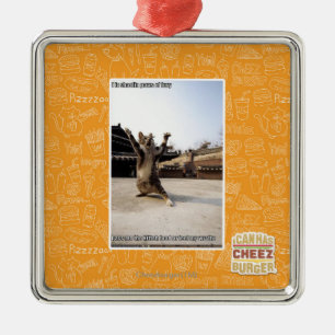 Ik ben schaduwpoten van woede metalen ornament
