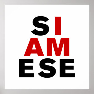 IK BEN SIAMESE POSTER