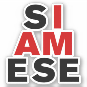 IK BEN SIAMESE STICKER