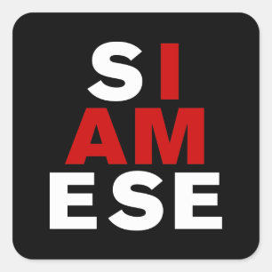 IK BEN SIAMESE VIERKANTE STICKER
