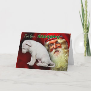 Ik ben stout geweest... Santa's Naughty & Nice Lis Feestdagen Kaart