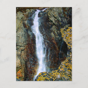 IK BEN TE ALLEEN IN DE WERELD BRIEFKAART