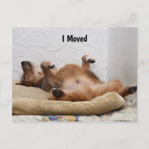 Ik ben uitgeput! Briefkaart