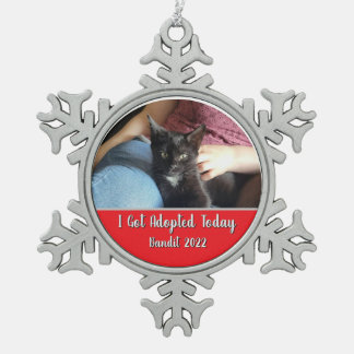 Ik ben vandaag geadopteerd Sneeuwvlok omlijst orna Tin Sneeuwvlok Ornament