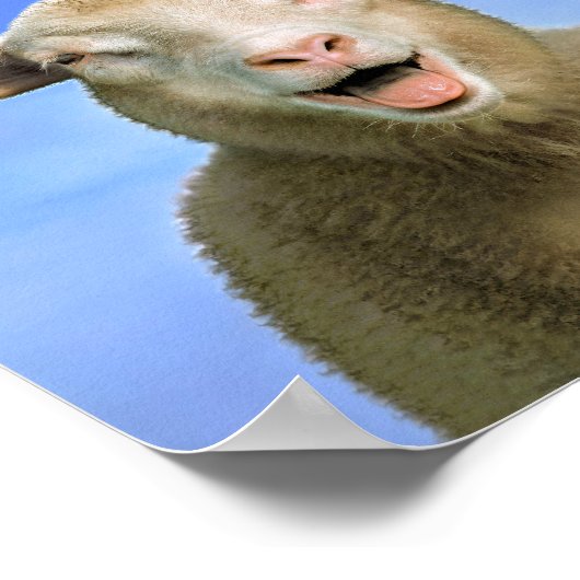 IK BEN VEGAN POSTER (Hoek)