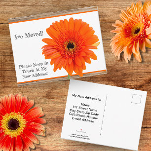 Ik ben verhuisd! Oranje Gerbera op Houten Briefkaa Aankondigingskaart
