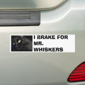 IK BEN VOOR DE HEER. WISKERS BUMPERSTICKER (Op auto)