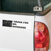 IK BEN VOOR DE HEER. WISKERS BUMPERSTICKER (Op Truck)